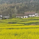 汉中旅游 缩略图 14