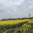 汉中旅游 缩略图 5