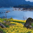 汉中旅游 缩略图 3