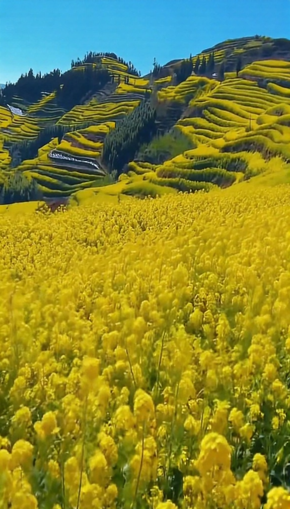 汉中旅游