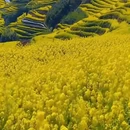 汉中旅游 缩略图 1