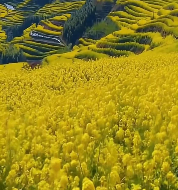 汉中旅游 1