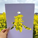 汉中旅游 缩略图 5