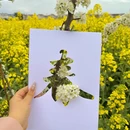汉中旅游 缩略图 2