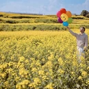 汉中旅游 缩略图 12