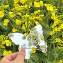 汉中旅游 缩略图 8