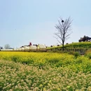汉中旅游 缩略图 6
