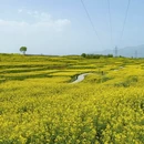 汉中旅游 缩略图 9