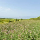 汉中旅游 缩略图 8