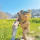汉中旅游 缩略图 5