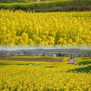 汉中旅游 缩略图 4
