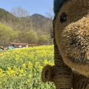 汉中旅游 缩略图 13