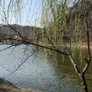 汉中旅游 缩略图 12