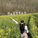 汉中旅游 缩略图 14
