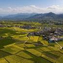 汉中旅游 缩略图 4