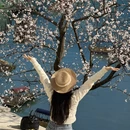 汉中旅游 缩略图 10