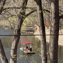 汉中旅游 缩略图 15