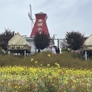 汉中旅游 缩略图 4