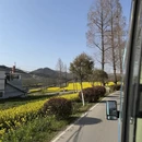 汉中旅游 缩略图 16