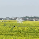 汉中旅游 缩略图 2
