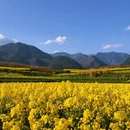 汉中旅游 缩略图 2