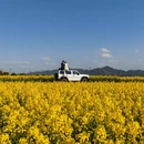 汉中旅游 缩略图 8