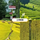 汉中旅游 缩略图 6