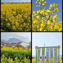汉中旅游 缩略图 1