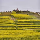 汉中旅游 缩略图 4