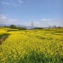 汉中旅游 缩略图 6