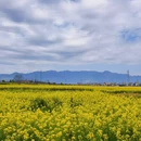 汉中旅游 缩略图 9