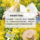 汉中旅游 缩略图 2