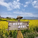 汉中旅游 缩略图 5