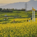 汉中旅游 缩略图 5