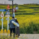 汉中旅游 缩略图 7
