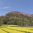 汉中旅游 缩略图 2