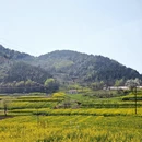 汉中旅游 缩略图 4