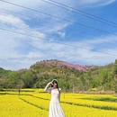 汉中旅游 缩略图 3