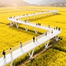 汉中旅游 缩略图 5