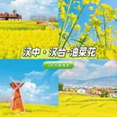 西安旅游 缩略图 4