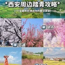 西安旅游 缩略图 1
