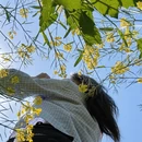 汉中旅游 缩略图 4