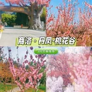 西安旅游 缩略图 2