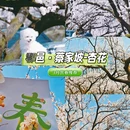 西安旅游 缩略图 8