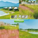 西安旅游 缩略图 7
