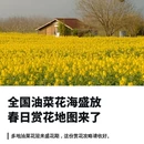 汉中旅游 缩略图 1