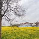 汉中旅游 缩略图 2