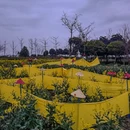 汉中旅游 缩略图 10