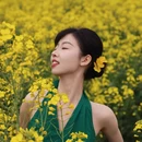 汉中旅游 缩略图 5