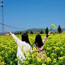 汉中旅游 缩略图 3